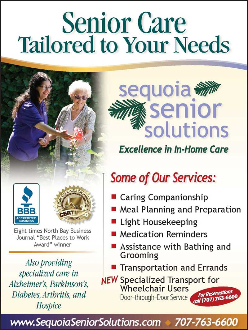 Home Care Services In San Mateo, CA  Senior Helpers of San Mateo - Los  Altos